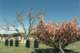 _cemetary_mass2_small.jpg
