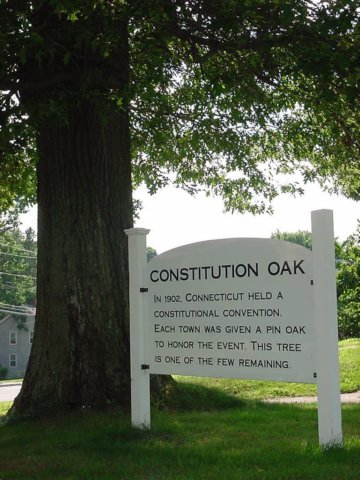 _constitution_oak_conn.jpg