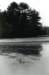 _pine_lake_conn2_small.jpg