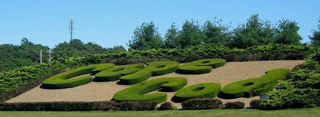 Cape Cod Hedge, Mass.