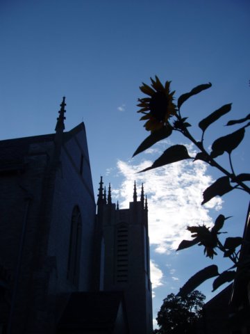 bristol_church_erprsn.jpg