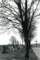 _1927cemetary_conn_small.jpg