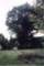 _charteroak_conn_small.jpg