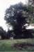 _charteroak_conn_small.jpg