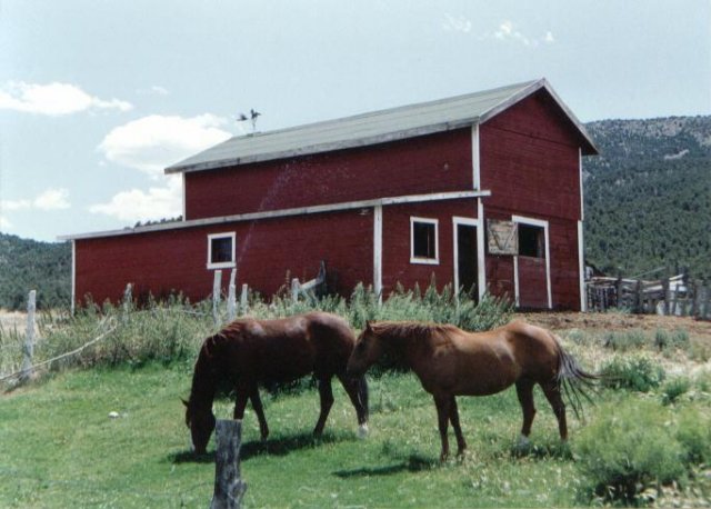 _horses_nv.jpg