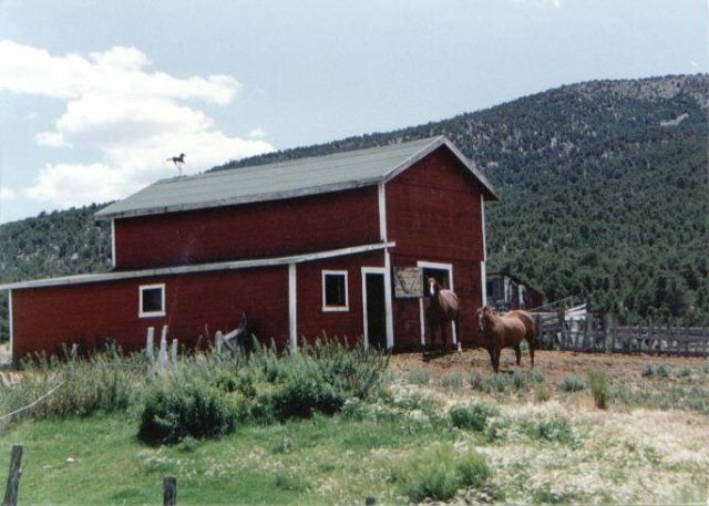 _horses_nv2.jpg