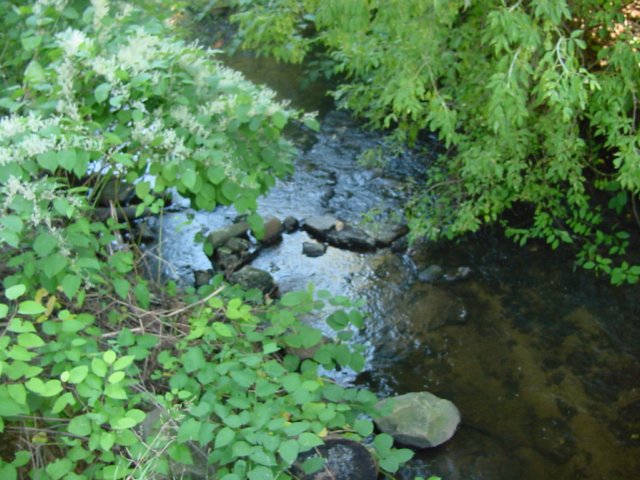 _pequabuckriver_conn.jpg