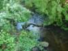 _pequabuckriver_conn_small.jpg