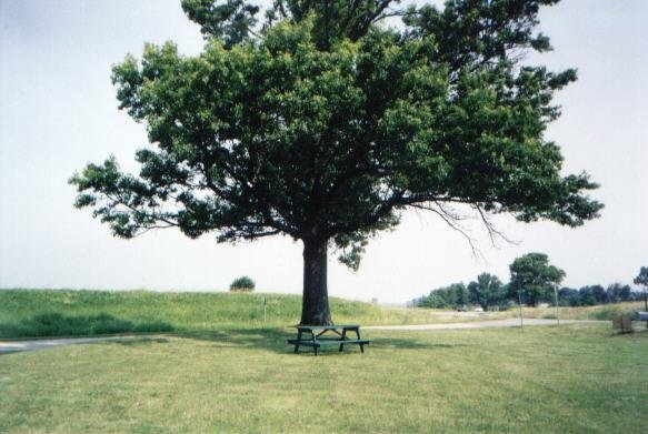 _roadside_restspot_il.jpg