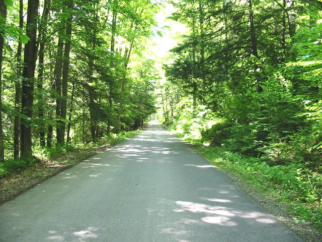 _roadtograndcanyon_pa.jpg