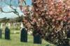 _cemetary_mass_small.jpg