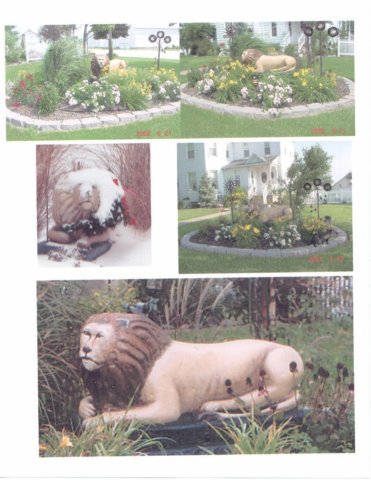 _lion_collage_il.jpg