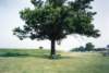 _roadside_restspot_il_small.jpg