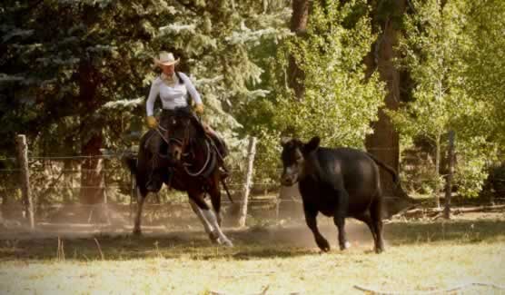 Kim Koyle - Roundup time at the Ranch